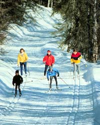 Cross Country Skiing